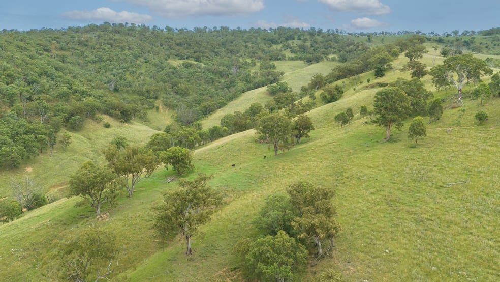 Click to view all images 'Paradise' Davis Creek Rd Rouchel NSW 2336 - Image 2