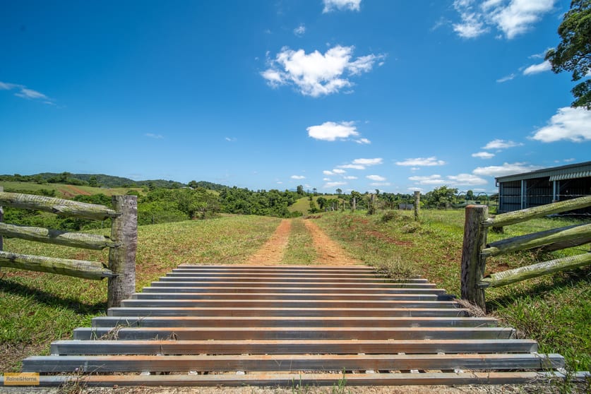 Click to view all images Lot 10 Camp Creek Road Camp Creek QLD 4871 - Image 1