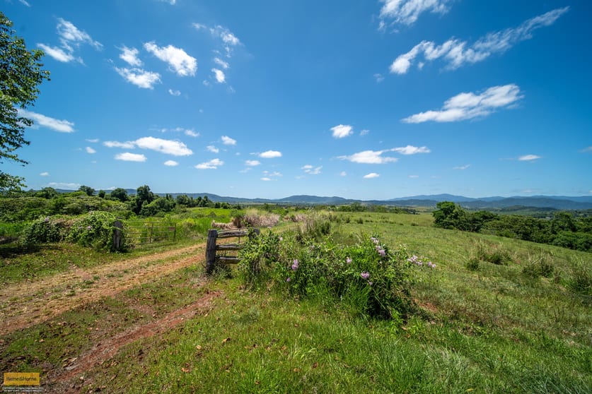 Click to view all images Lot 10 Camp Creek Road Camp Creek QLD 4871 - Image 2