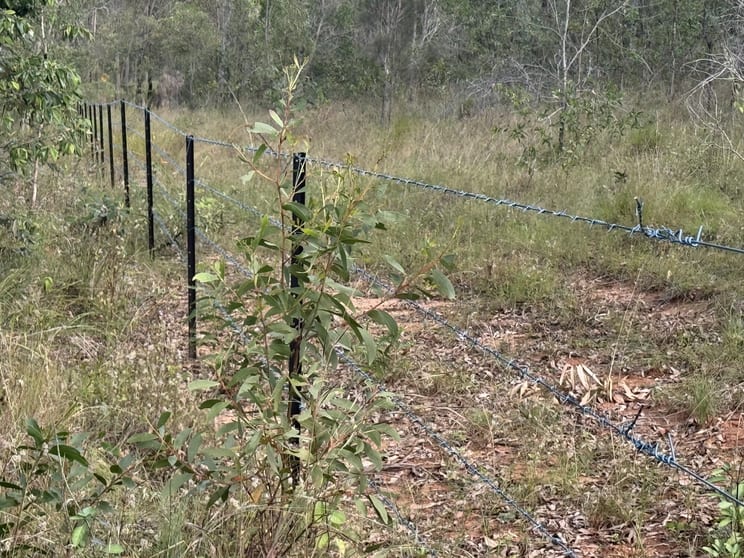 Click to view all images LOT 145 Svenssons Road Booyal QLD 4671 - Image 2