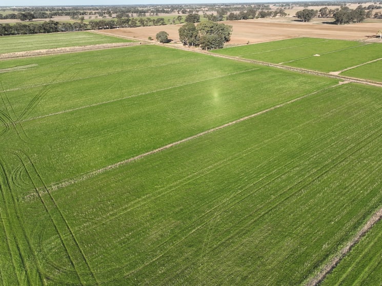 104 Shinnicks Road Strathmerton VIC 3641 - Image 2