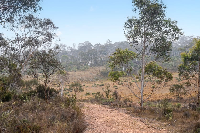 Click to view all images 735 Warrens Corner Road Numeralla NSW 2630 - Image 3