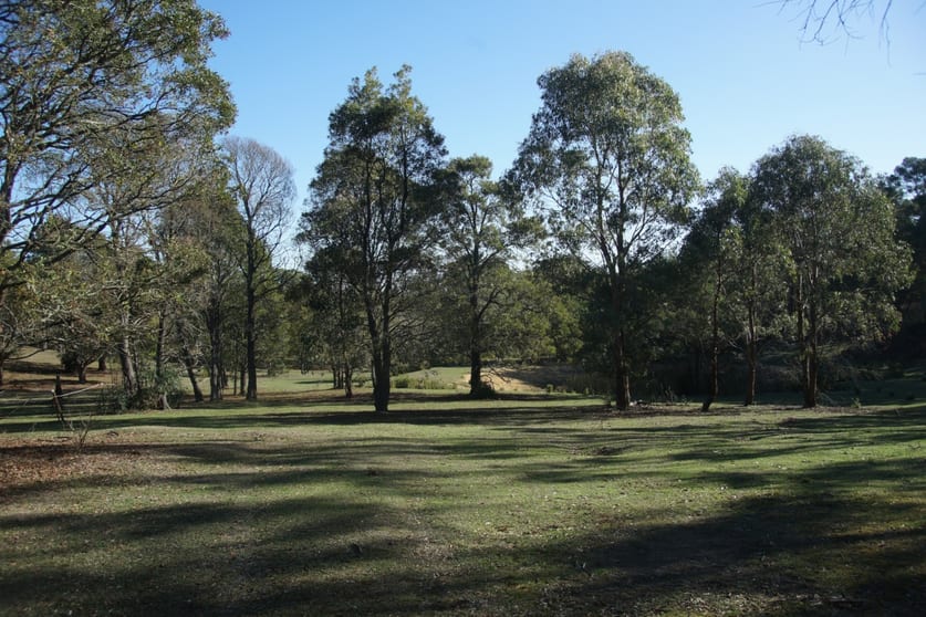 Click to view all images Lot 1 Newtown Berringa Staffordshire Reef VIC 3351 - Image 3