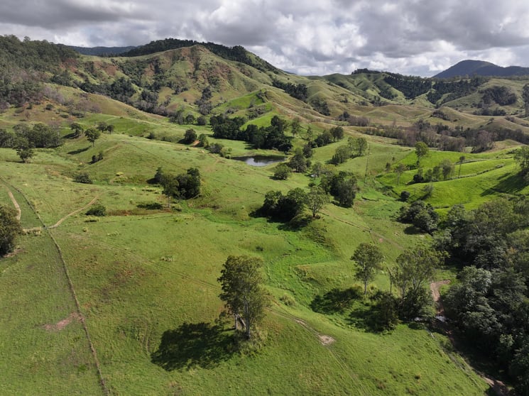 258 Holds Road Yalboroo QLD 4741 - Image 1