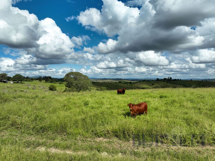 Click to view all images 31791 Bruce Highway Booyal QLD 4671 - Image 1