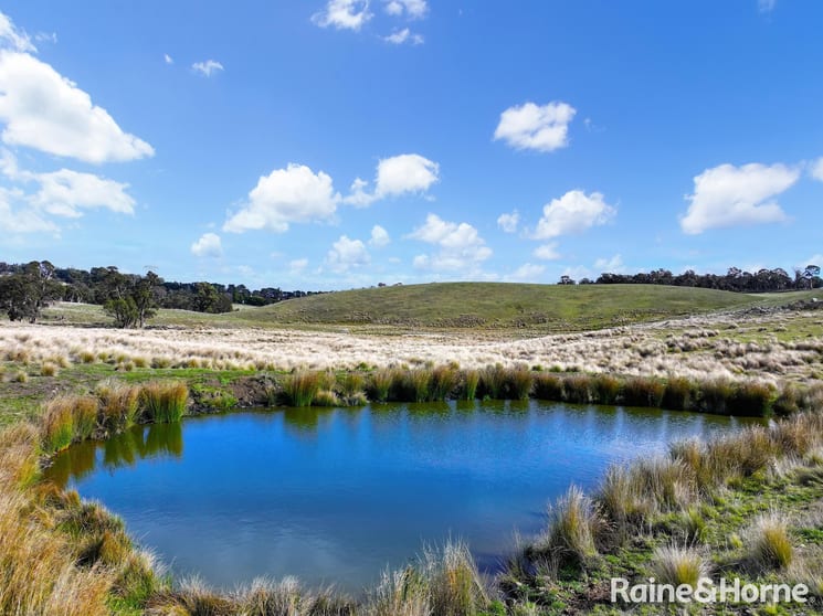 Click to view all images 2784 Abercrombie Road Black Springs NSW 2787 - Image 2