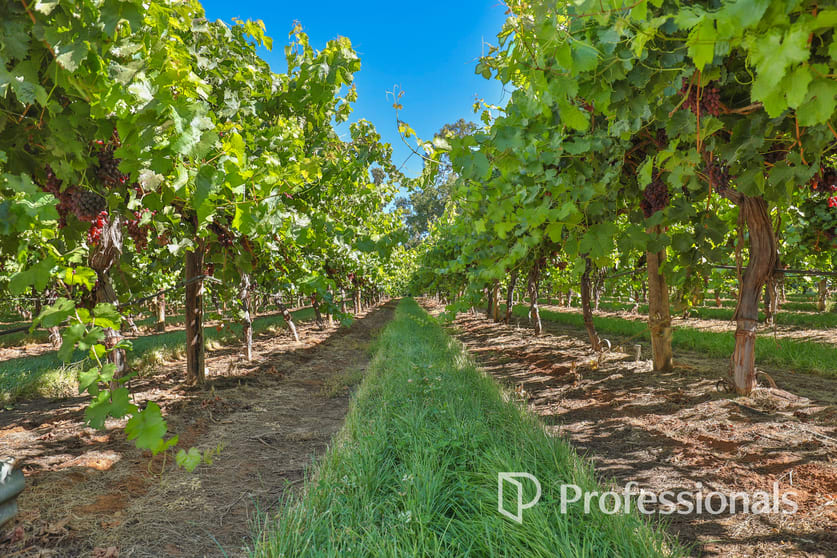 Click to view all images Level (Lot 2, PS911361M)/Cnr Twentieth Street & Boobook Avenue Cardross VIC 3496 - Image 2