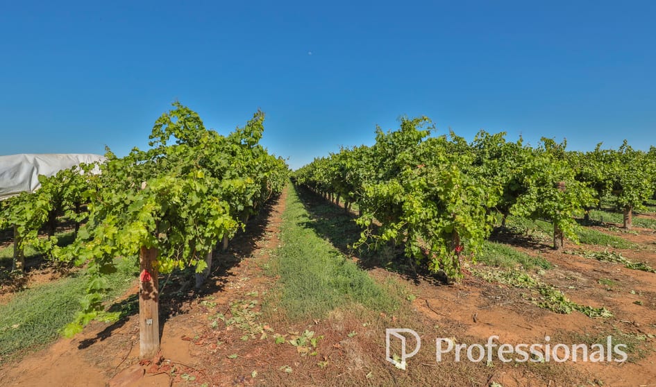 Click to view all images Level (Lot 2, PS911361M)/Cnr Twentieth Street & Boobook Avenue Cardross VIC 3496 - Image 3