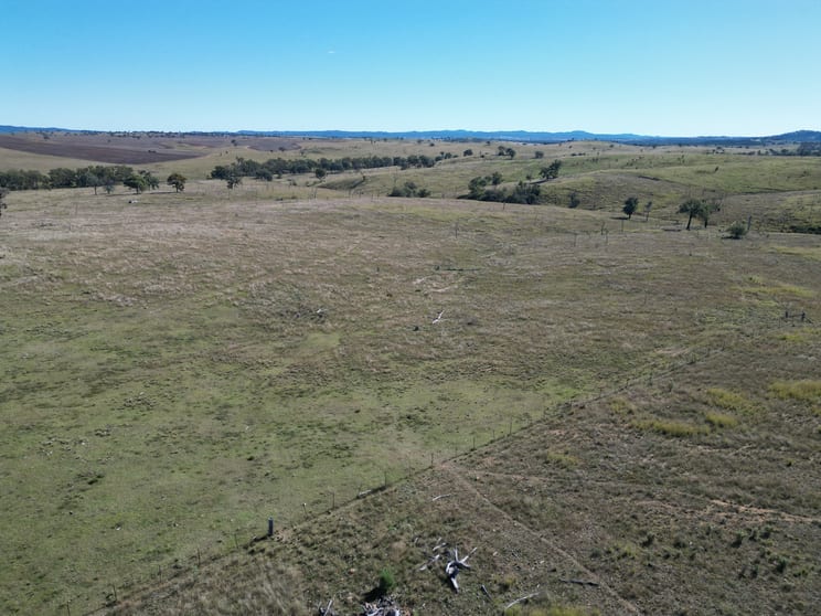 Click to view all images 0 Emmaville Road Ashford NSW 2361 - Image 2