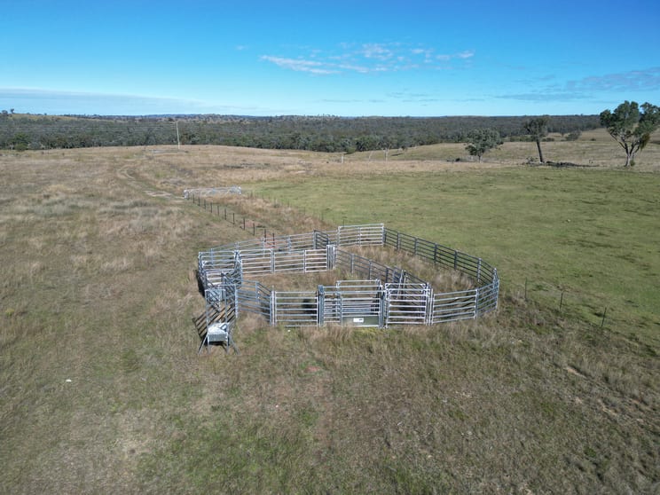 Click to view all images 0 Emmaville Road Ashford NSW 2361 - Image 3