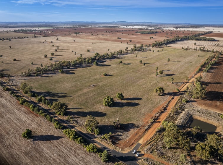 1403 Platina Road Trundle NSW 2875 - Image 2