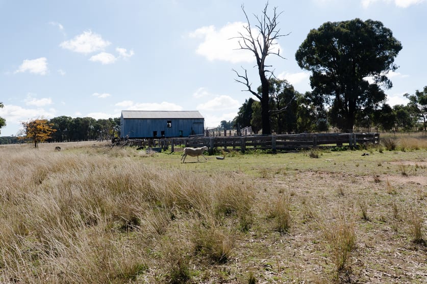 Click to view all images "Glen Alvin" & "Lockyer" Elong Elong NSW 2831 - Image 2