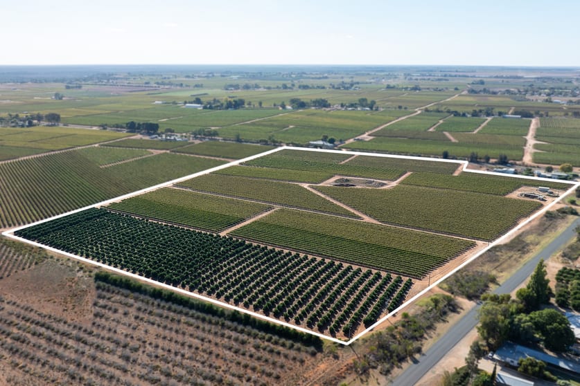2 Balfour Ogilvy Avenue Loxton SA 5333 - Image 3