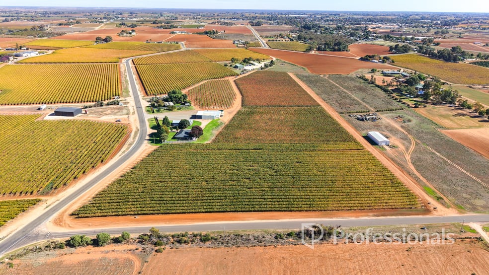 Click to view all images 225 Stewart Road Red Cliffs VIC 3496 - Image 3