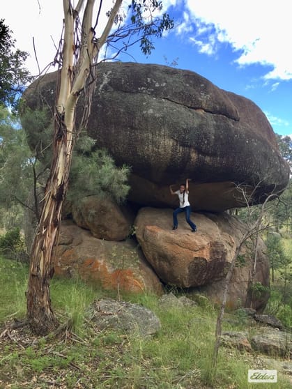 Click to view all images 1717 Old Stanthorpe Road Cherry Gully QLD 4370 - Image 1