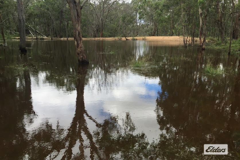 Click to view all images 1717 Old Stanthorpe Road Cherry Gully QLD 4370 - Image 2