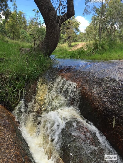 Click to view all images 1717 Old Stanthorpe Road Cherry Gully QLD 4370 - Image 3