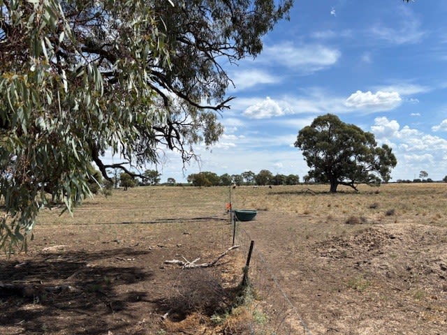 Click to view all images 7712 Kidman Way Darlington Point NSW 2706 - Image 3