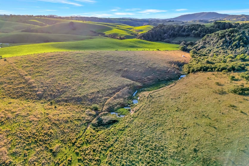 Click to view all images 459 Dome Road Dorrigo NSW 2453 - Image 3