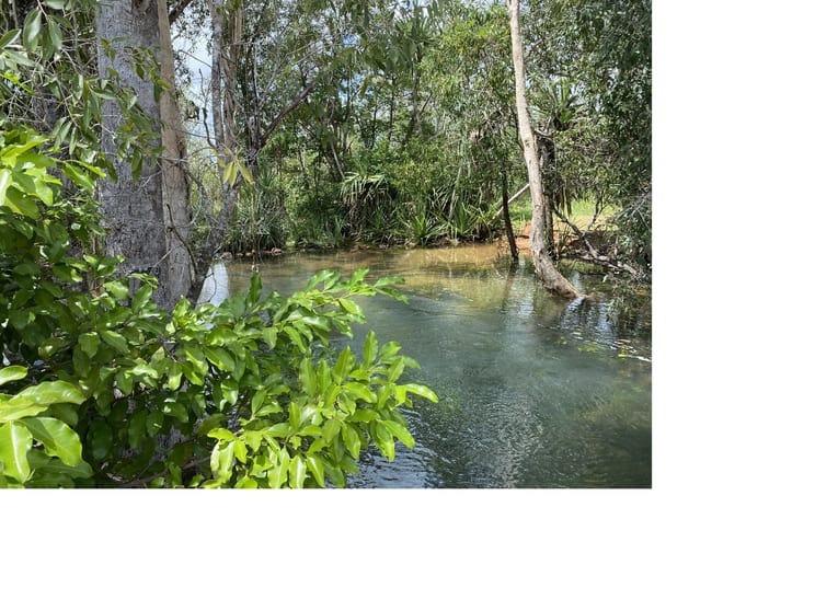 Click to view all images Dundee Downs NT 0840 - Image 1