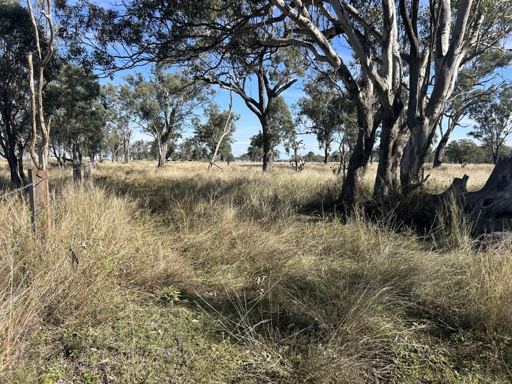 Click to view all images Kaimkillenbun QLD 4406 - Image 1