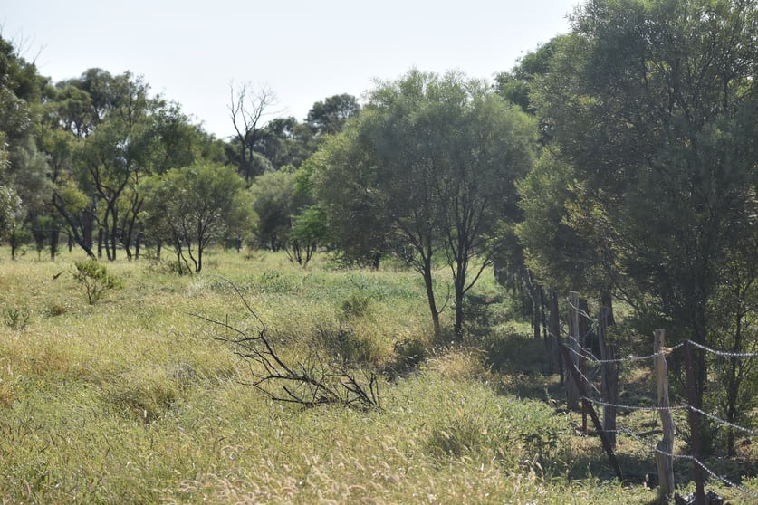 Click to view all images Moor Moor Road Dutton River QLD 4821 - Image 3