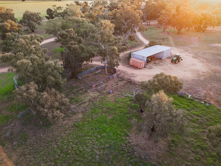 261 Campbells Road Deniliquin NSW 2710 - Image 3