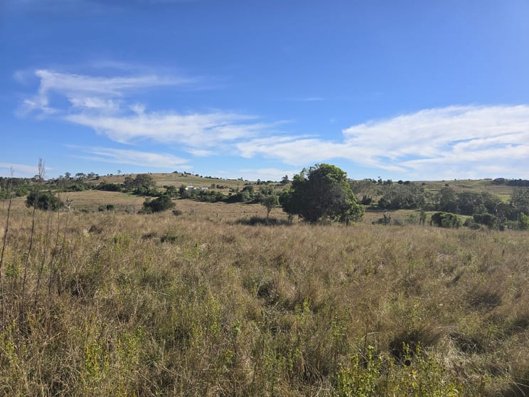 Lot 2 Haden Crows Nest Road Bergen QLD 4353 - Image 2