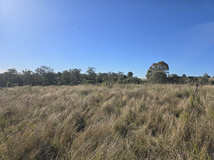 Lot 2 Haden Crows Nest Road Bergen QLD 4353 - Image 3