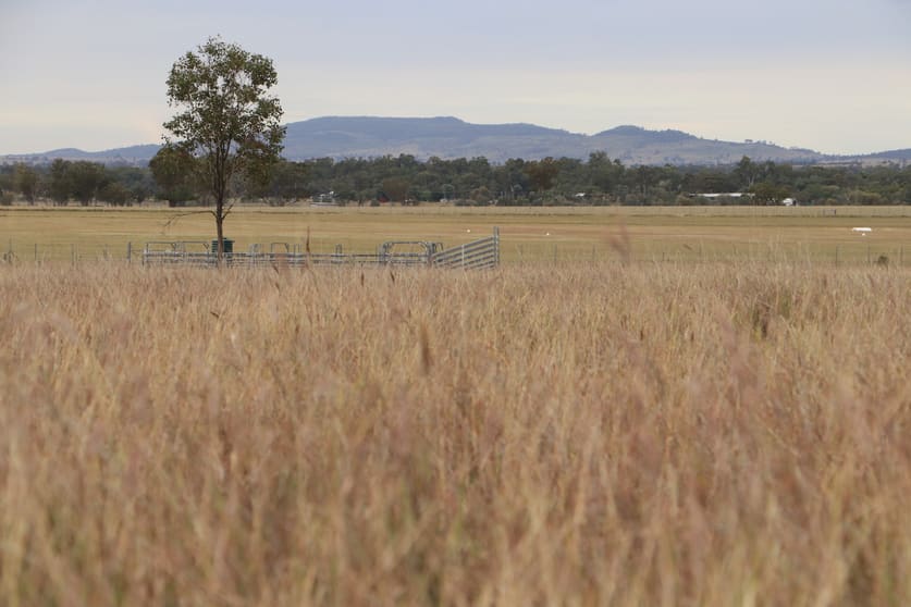 Ona Ona Road Roma QLD 4455 - Image 1