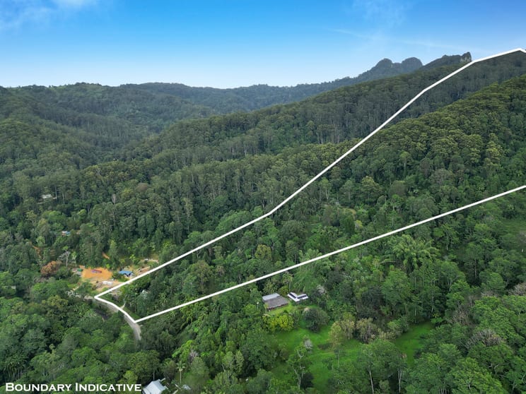Click to view all images 1778 Currumbin Creek Road Currumbin Valley QLD 4223 - Image 1