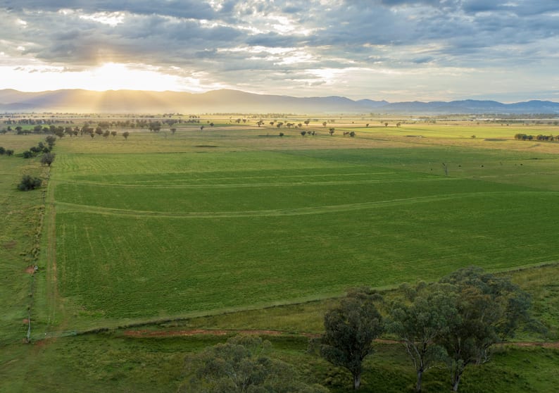 Click to view all images Wyndham, Oxley Highway Tamworth NSW 2340 - Image 3
