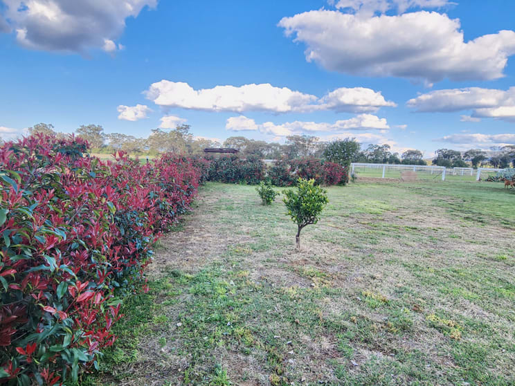 164 Voca Rd Curlewis NSW 2381 - Image 3