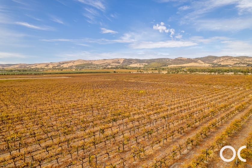 Lot 358/124 Hahn Road Sellicks Hill SA 5174 - Image 3