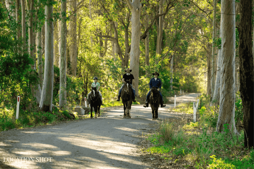 Click to view all images 50 Comberton Grange Road Falls Creek NSW 2540 - Image 2