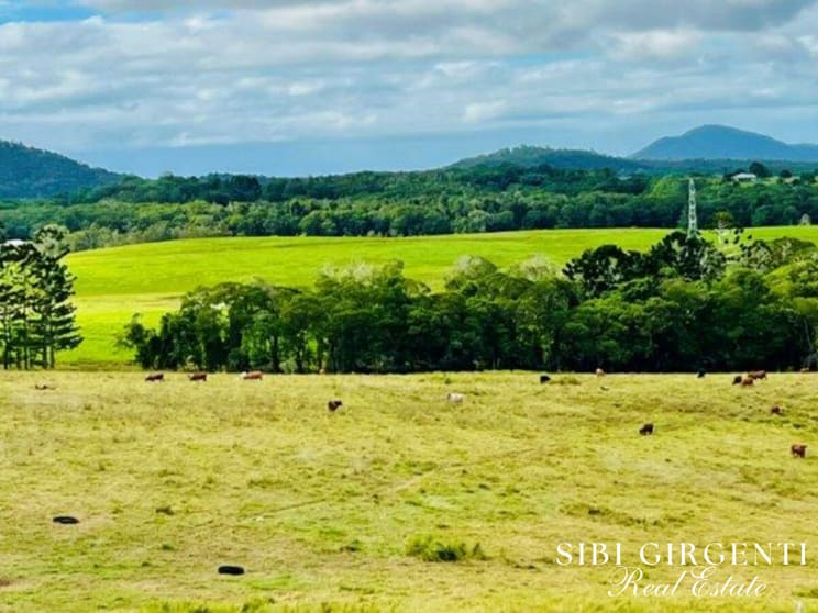 Click to view all images 1297 Mt Molloy Street Mossman QLD 4873 - Image 1