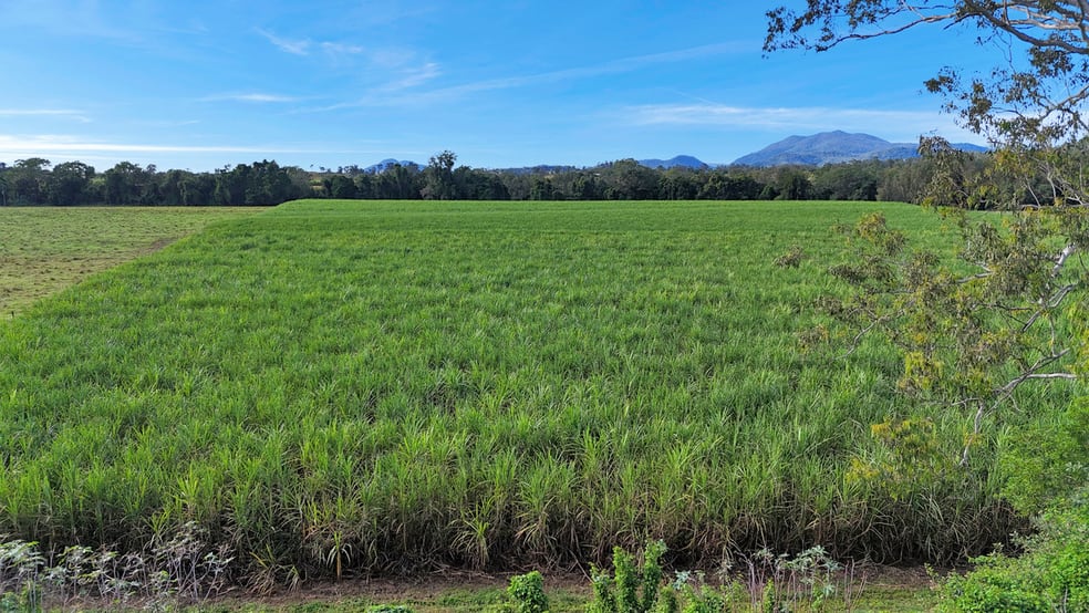 151 R Watts Road Benholme QLD 4754 - Image 2