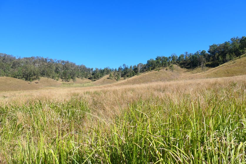 23/ Rocky River Road Rocky River NSW 2372 - Image 3