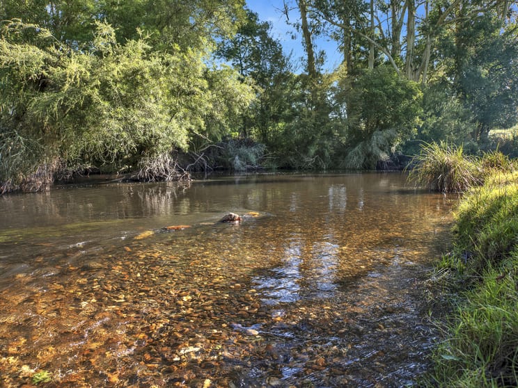 160 Station Road Wesburn VIC 3799 - Image 1