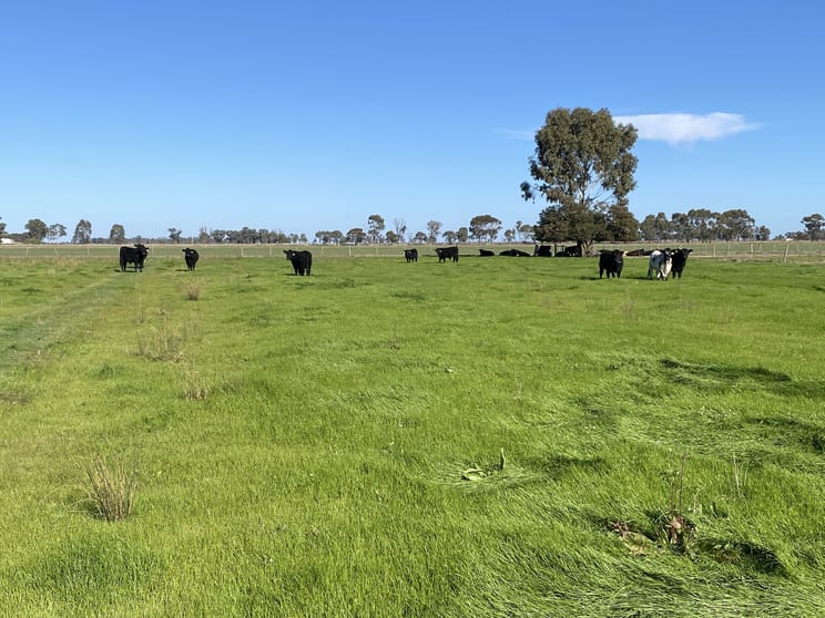 Click to view all images 421 Mckenzie Road Kerang VIC 3579 - Image 1