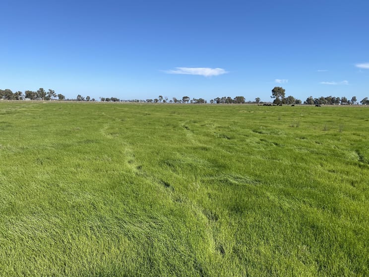 Click to view all images 421 Mckenzie Road Kerang VIC 3579 - Image 2