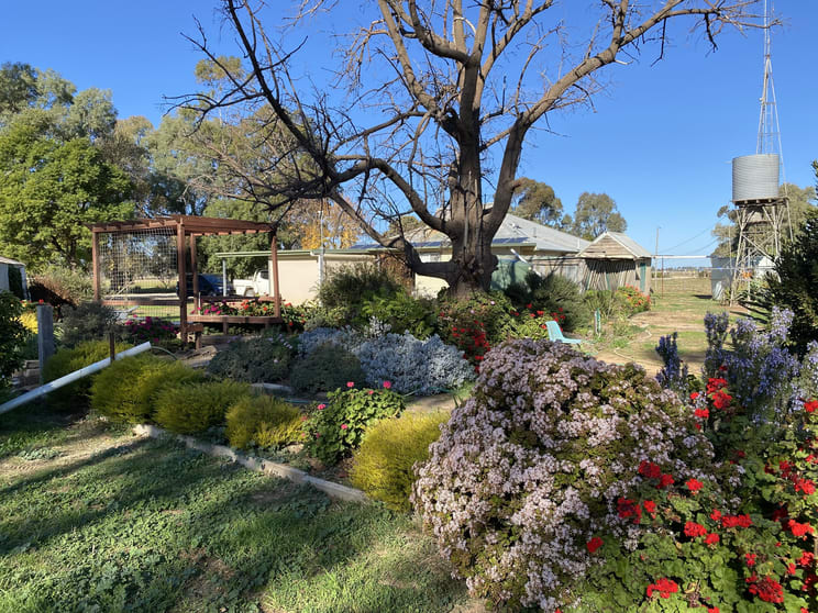 Click to view all images 421 Mckenzie Road Kerang VIC 3579 - Image 3