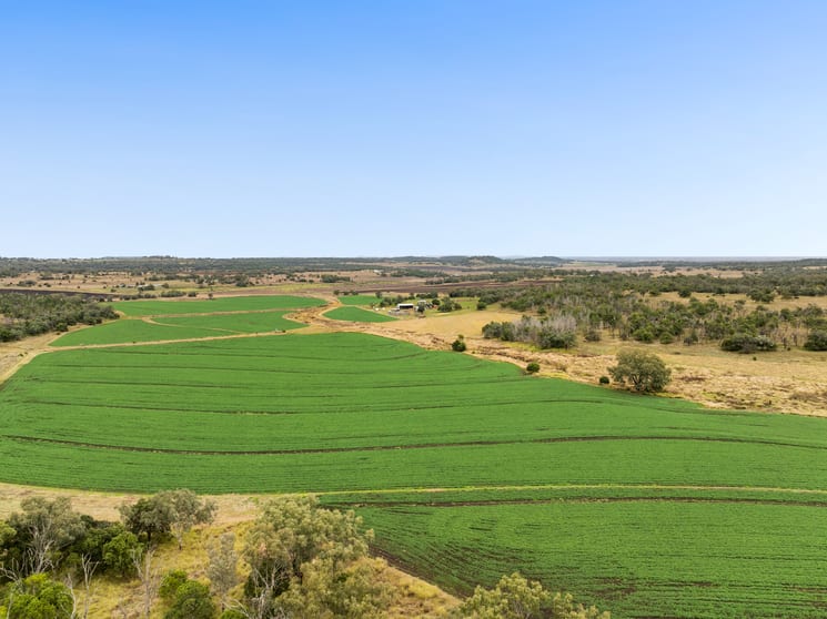 Click to view all images The Butcher's Block 22 Wyangapinni Road Stoneleigh QLD 4356 - Image 1