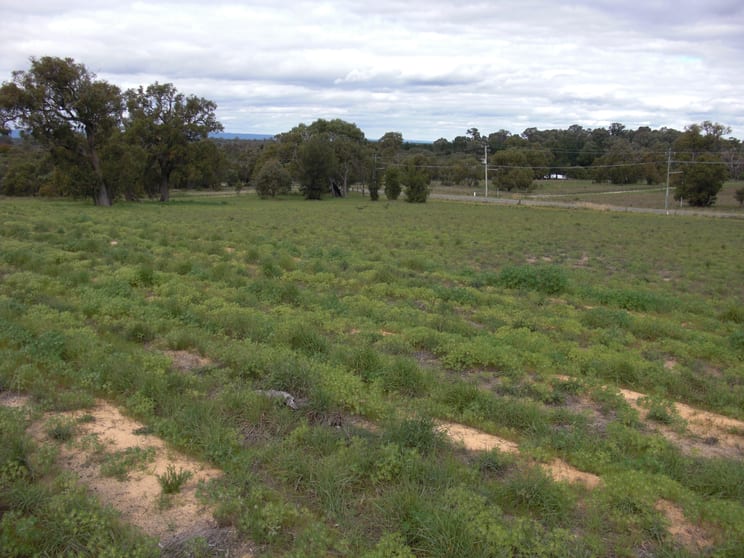 Lot 472 Mallee Drive Karnup WA 6176 - Image 2