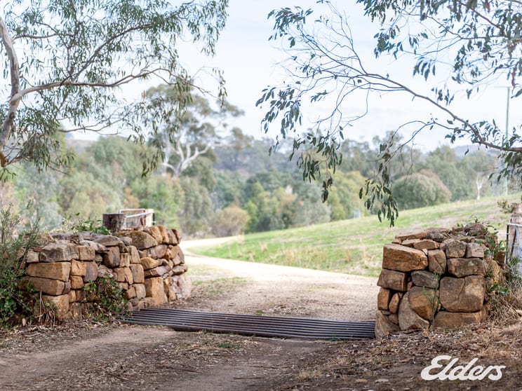 Click to view all images Gooram VIC 3666 - Image 2