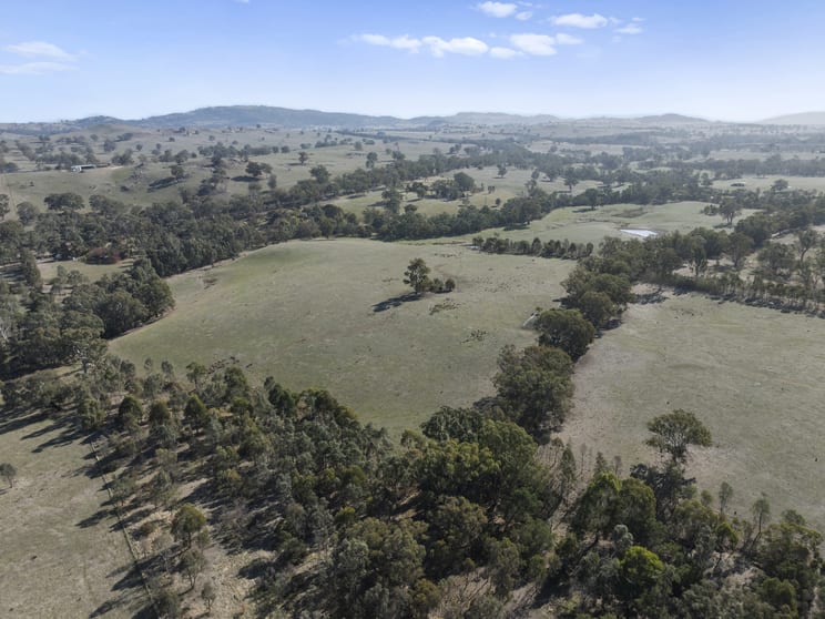 Click to view all images Gooram VIC 3666 - Image 3
