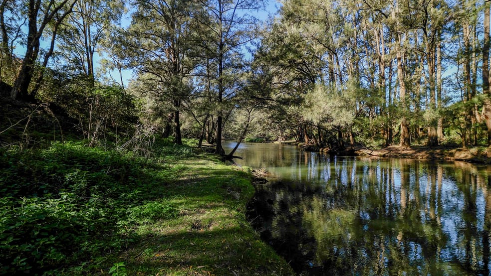 Click to view all images 373 Riverlea Road Mudgee NSW 2850 - Image 3