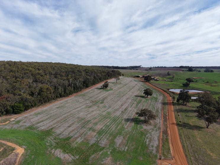 Click to view all images Lot 2639 Elphick-Fleeton Road Sunnyside WA 6256 - Image 1