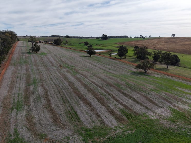 Click to view all images Lot 2639 Elphick-Fleeton Road Sunnyside WA 6256 - Image 2