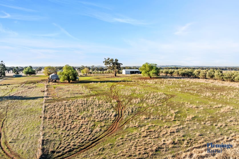 Click to view all images 1010 Dinga Dingi Road Stockinbingal NSW 2725 - Image 2